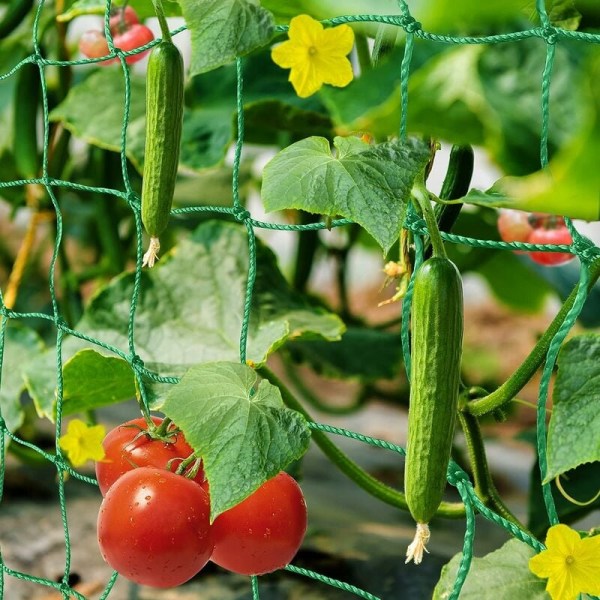 Net Trädgårdsspaljé Net klätterväxtstöd Lämplig för gurka tomatgröda växt klätternät. Används i växthus, balkonger etc. T-Audace