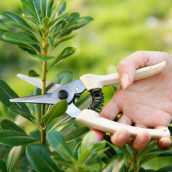 Hånd bonsai sekatører Højpræcision buet bladsakskærer i rustfrit stål Pakke med 2