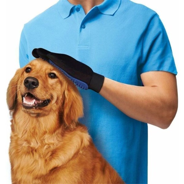 Glove Magic Pet rengøringsbørste (grøn, højre hånd)