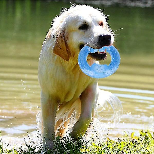 Hundtuggleksak Rolig Hundvalp Katt Frys Fryst Tuggleksak Hämta Träning Lek Tuggleksak Globe Leksak