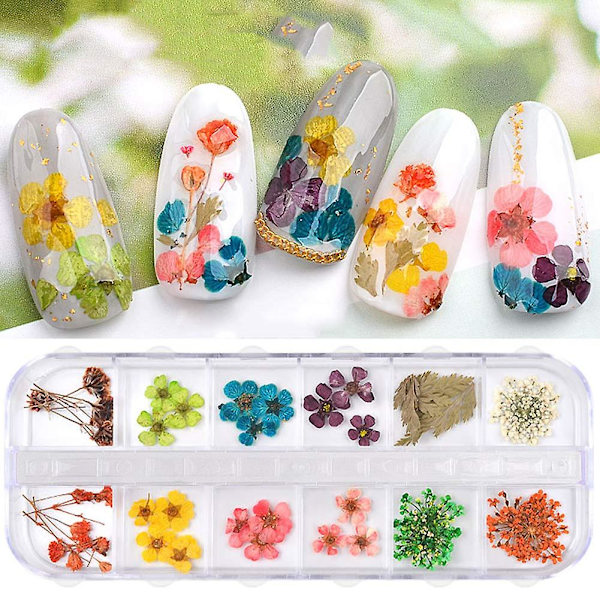 1 låda med nagelkonst klistermärken torkade blommor dekoration set nagel torkade blommor 3D riktiga torkade blommor stil 1