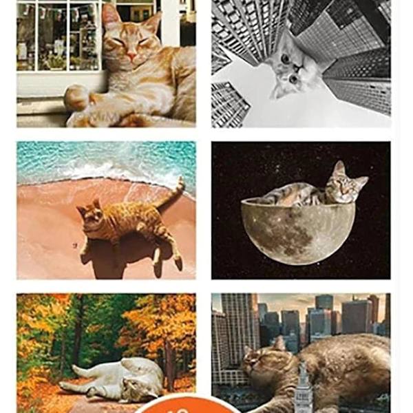 Kattkalender 2024, Lat kattkalender 2024, Söt kattväggkalender 2024, Roliga månadskalendrar, Present till kattälskare