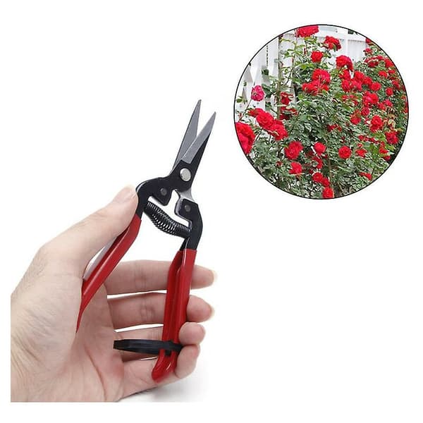 Planteringssaxar Saxar Hem Trädgårdsskärare Blomgren She