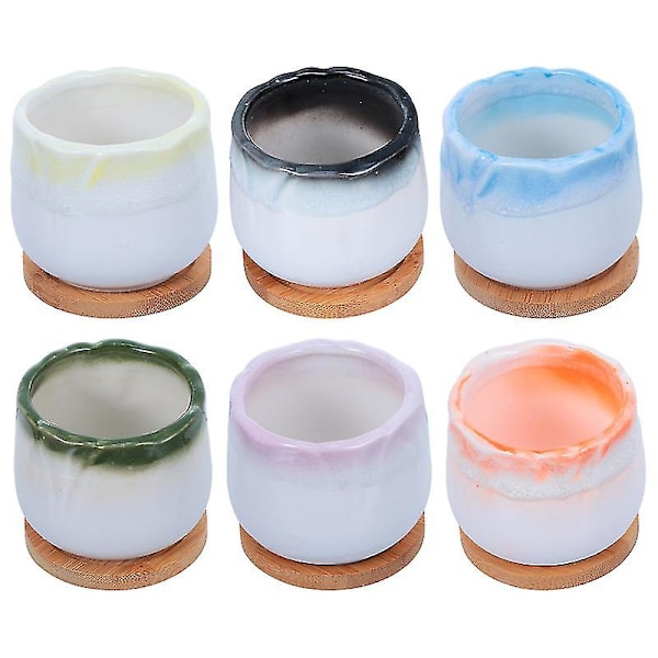 1 set Inomhus Blomkruka
