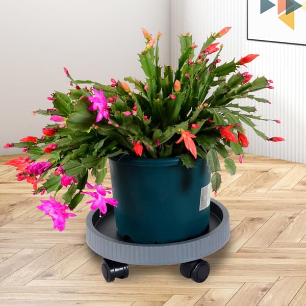 Runda Blomkrukehållare, Tjock & Stabil, Anti-Deformation, Med Rullar (Ris)