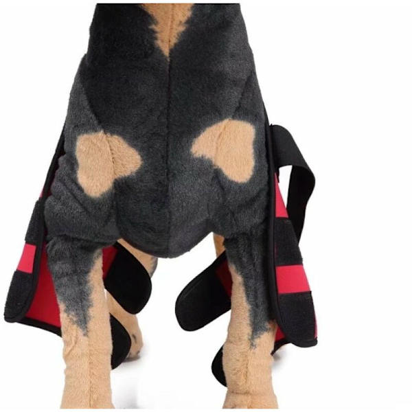 Knäskydd för hundar, hundbensskydd, hundbensskydd, husdjursskydd, hundkirurgisk skadeskydd (röd L)