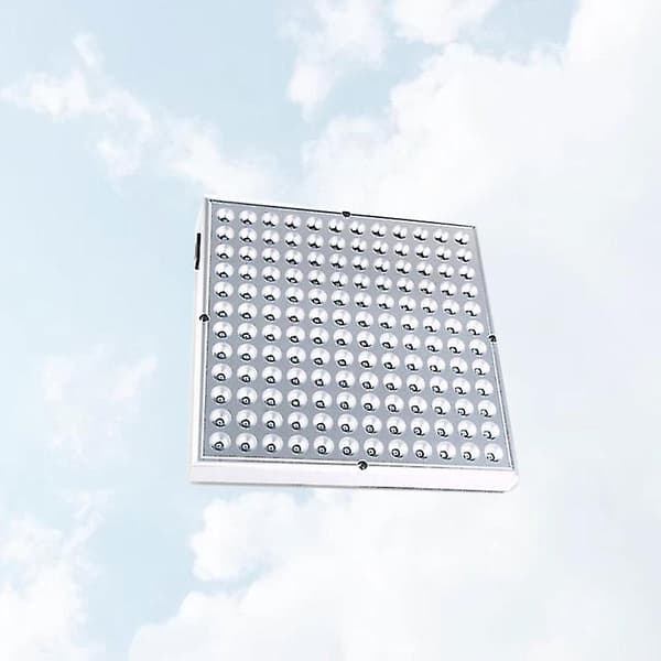 1 st Växtlampa för växthus