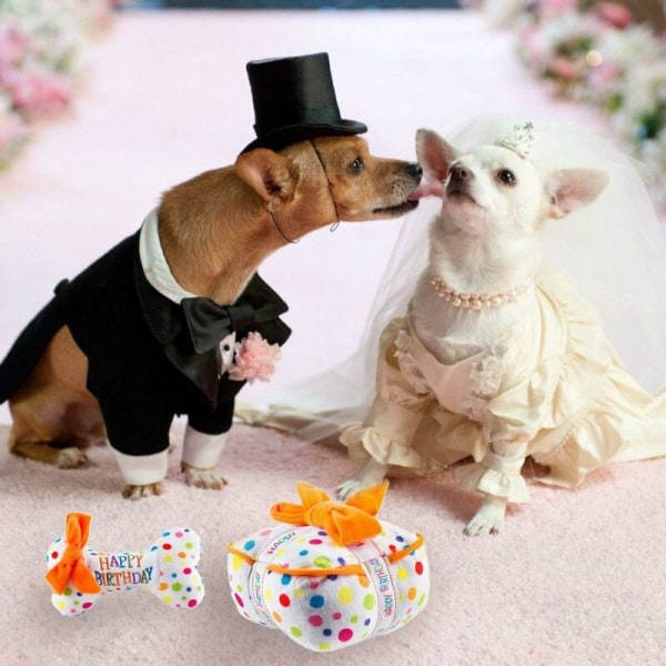 Koiran vinkuva kakkulelu, pehmolelu lemmikkipurukakku, söpö koiran kissa pehmojälkiruoka syntymäpäivälahja - kakku