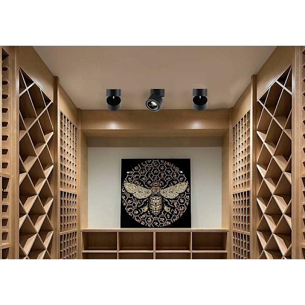 10W LED Ytmonterad spotlight Justerbar takspotlight Kök Vardagsrum Butiksbelysning Varmvit (svart)