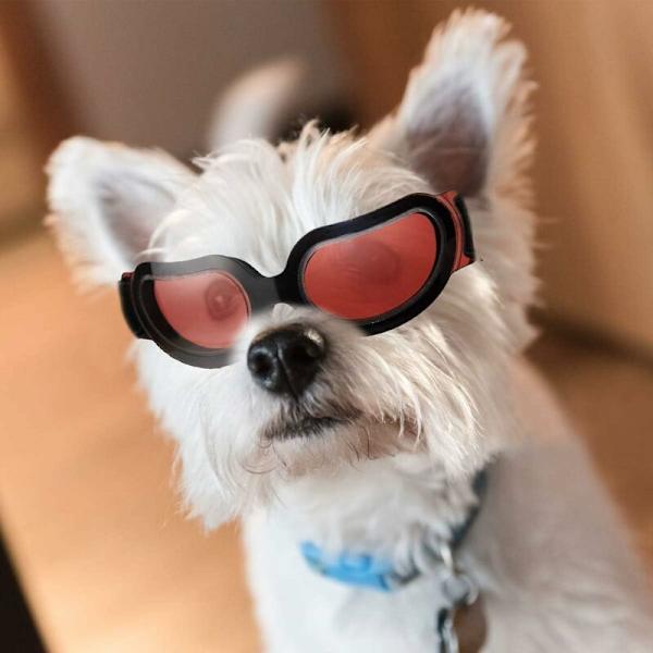 Hunde solbriller, moderigtige solbriller, UV-beskyttelse til hunde, vandtæt vindbeskyttelse til små hunde og katte
