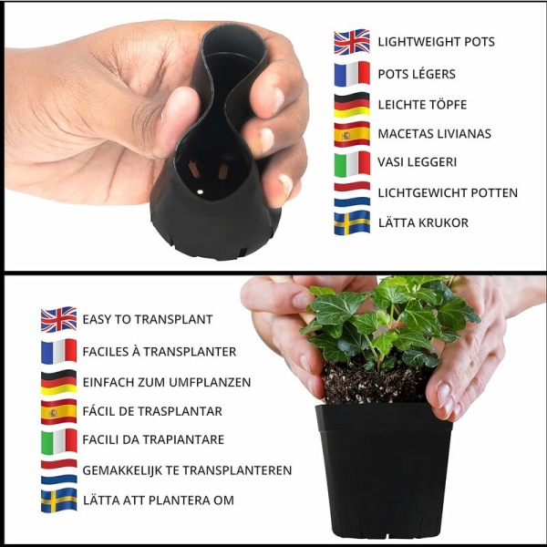 50 kvadratiska plastblomkrukor, 6,5 cm - växtodlingskrukor