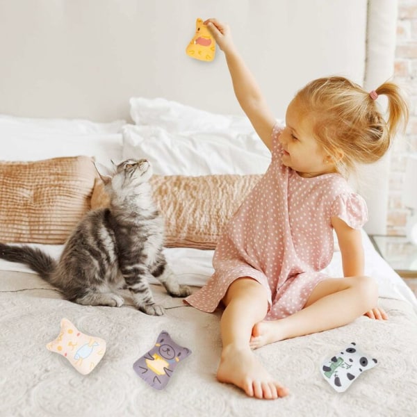 PET PRODUCTS KATTLEKSAKER Kattkonnotation Catnip Färgskrapa Färg Kattleksak 6-delad uppsättning