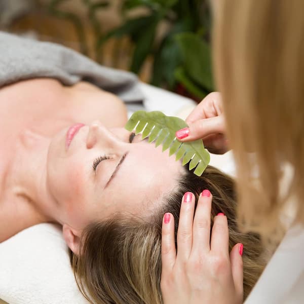Massage Spa Akupunkter Gua Sha Hotel Spa