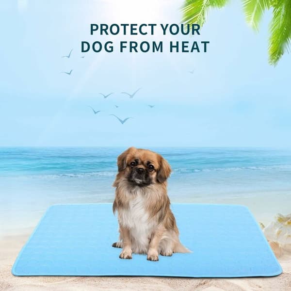 Cool Companion Pet Comfort Kølemåtte Seng Soveunderlag til Hunde og Katte-M