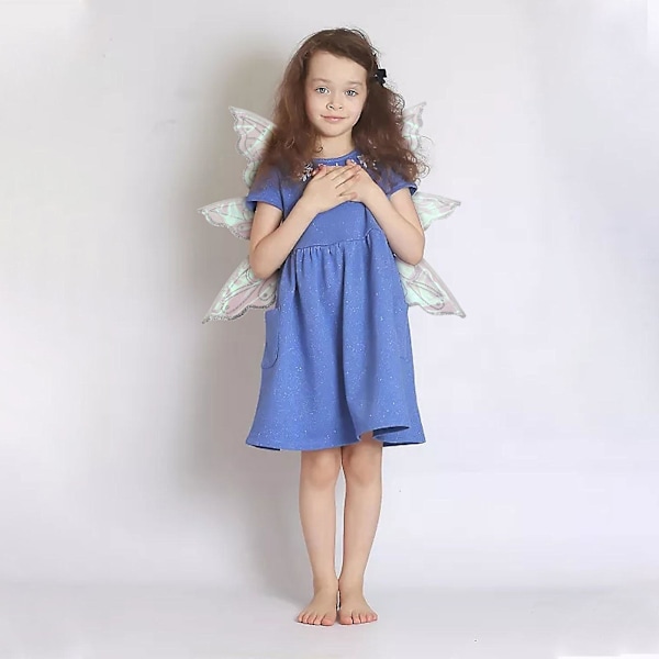 Bronzing Butterfly Fairy WingsSilver