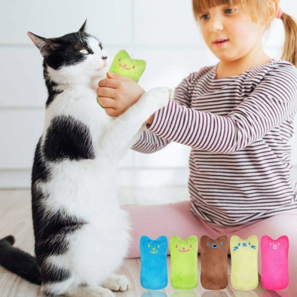 Kattmynta plyschleksak, Valeriana kudde kattmynta leksak för katter, interaktiv kattkudde, tuggning och tand rengöring, kattmynta inomhus kattleksaker för katt kattunge