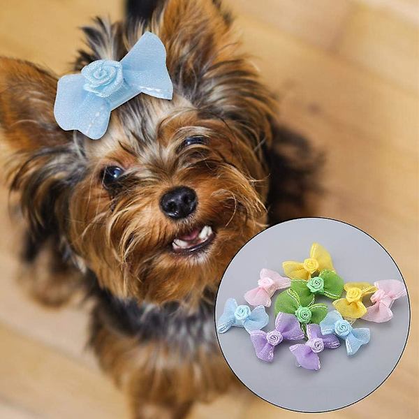 10-pack hund- och katthårklämmor, vackra husdjurshårklämmor, rosetthårklämmor