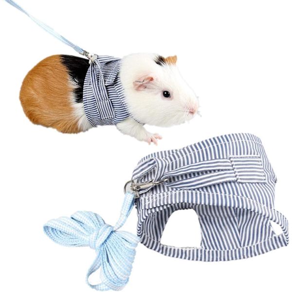 Sele för små djur - Sele för iller - Promenadväst för utomhusbruk - Sele för chinchilla