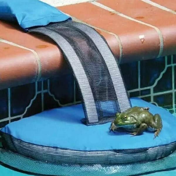 Pool-djurfällare, simstege, utomhuspool-djurfällare, groda-fågel-djurfällare