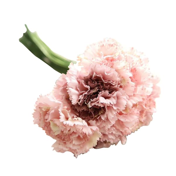 Carnationbukett med Hållbara Blommor för Mors Dag - Simuleringsblomdekoration