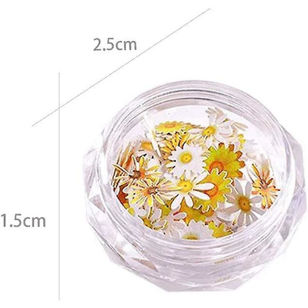 Katea 3 Ask 3D Blomster Nagelstickers Holografisk Simuleringsblomma Blad Nagel Glitter Sekvens Akryl Pailletter Romantiska Prästkragar Blommor Design Ultra T