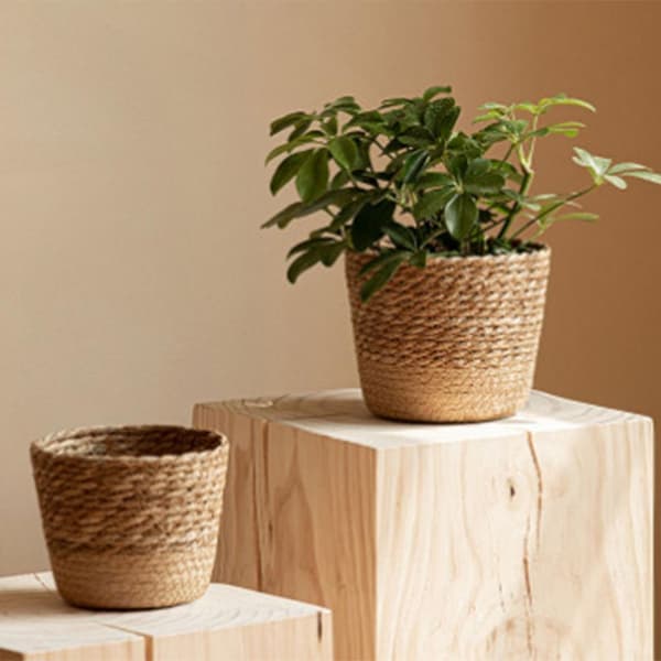 Handvävd planterkorg inomhus handvävd korg planter växtkorgar（Liten）