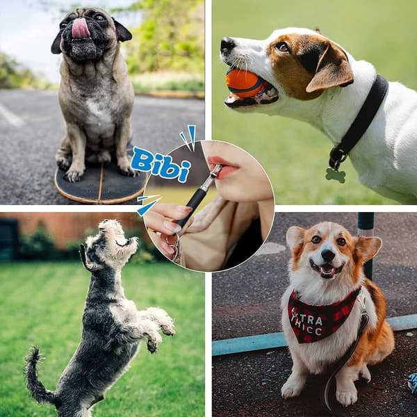 2 st hundvisselpipor, justerbar tyst hundvisselpipa för träning