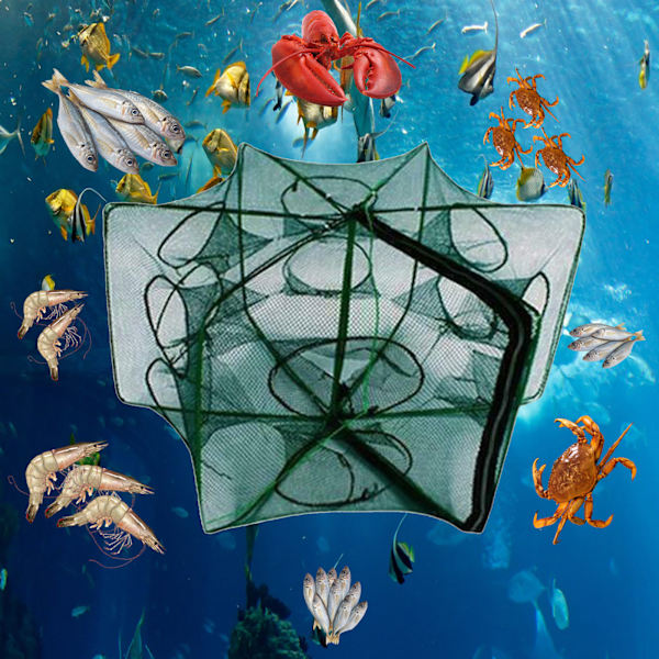 Sammenklappeligt fiskenet til fisk, rejer, krabber og agn - 12 huller