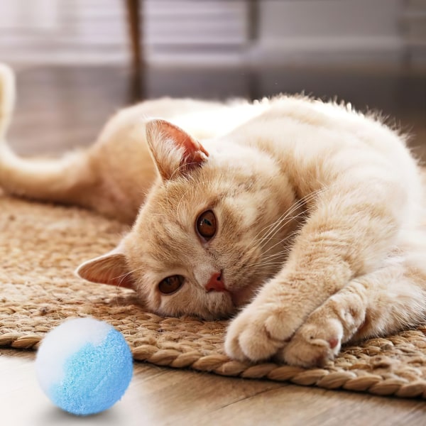 5st Pom Pom bollar Rolig leksak för Katter Fluffig Mjuk