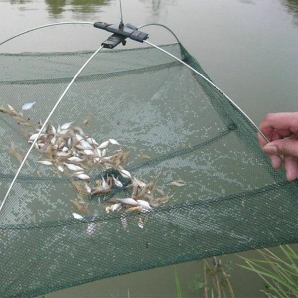 Hopfällbart Fisk Nät för Fisk Räkor Krabbor