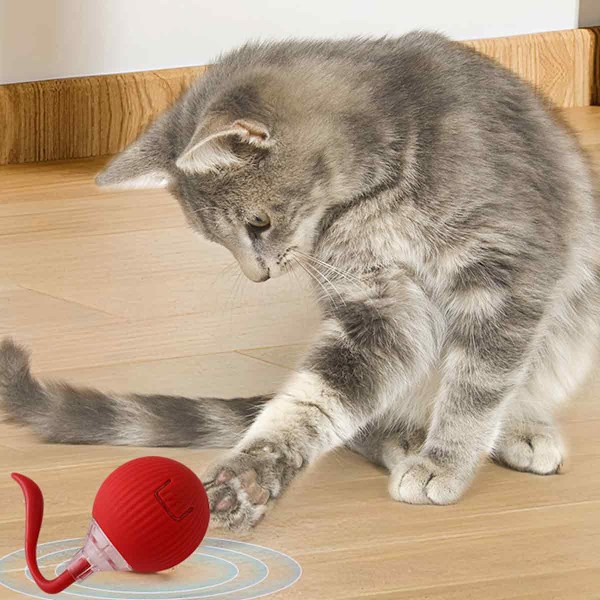 Interaktiv rullande boll, automatisk rullande boll interaktiv kattleksak, automatisk kattleksak, helautomatisk mobil hundleksak, elektrisk boll för hund/katt red