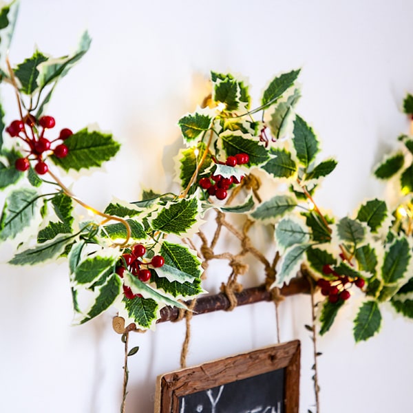 LED Battery Powered String Lights , Winter Holiday, New Year