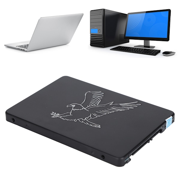 Hsthe Sea Mobile Solid State Disk Portabel 2.5 Tum Metall Örn Svart Extern SSD för PC Dator 16GB