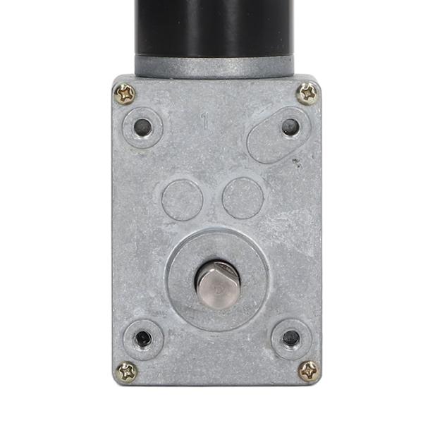 Växelmotor Dubbelaxel DC 12V Självlåsande Hastighetsreducering CW CCW Maskhjulsmotor 40RPM