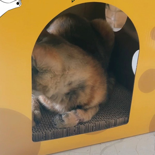 Kattklös Hus i Form av Ost Kartong Kattklösbräda Hus Intressant Kattgömställe för Vila och Lek