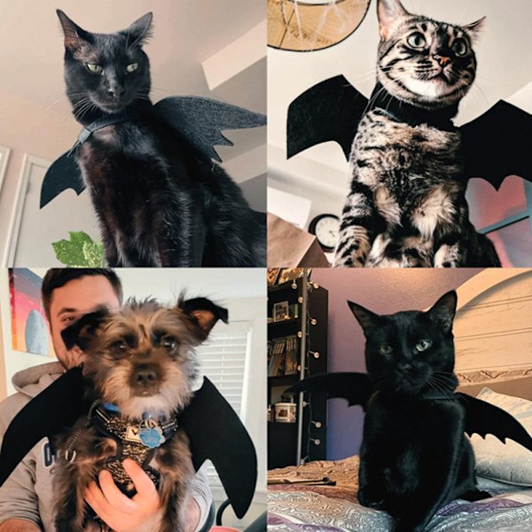 Halloween fladdermusvingar husdjur kreativ semester rolig klänning