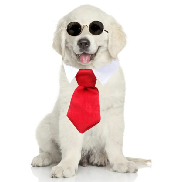 Pet fluga, barn slips randigt print liten slips hund slips