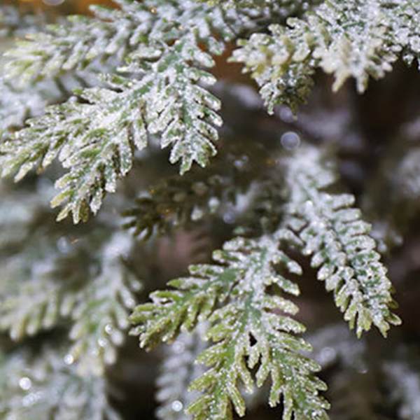 Flocking artificial Christmas tree, desktop cedar Christmas