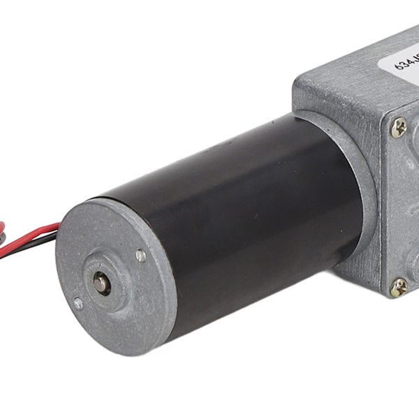 Växelmotor Dubbelaxel DC 12V Självlåsande Hastighetsreducering CW CCW Maskhjulsmotor 40RPM