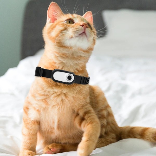 HD Kattkamerahalsband med Videoinspelning Trådlös Mini Rörelsekamera, Liten Rörelsekamera, Husdjurstillbehör/Artiklar Bärbar Kamera, Utomhus/Inomhus white