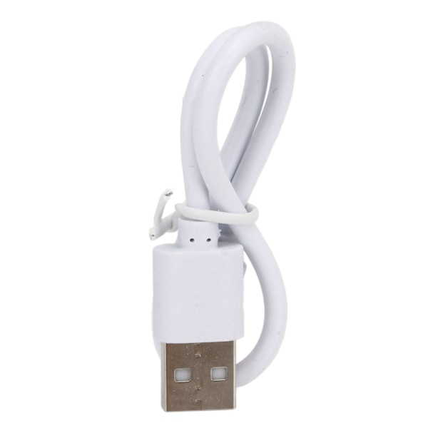 Enkel laddning var som helst: USB C-ingång & -utgång, utomhuscampinglampor, presentval