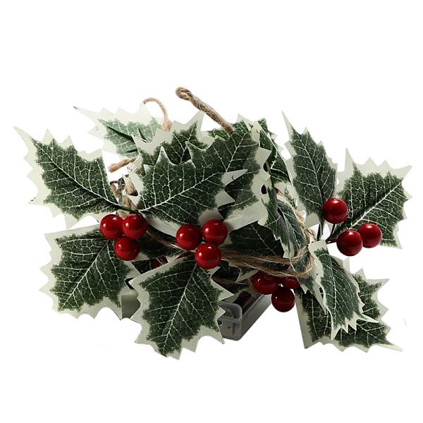 LED Battery Powered String Lights , Winter Holiday, New Year