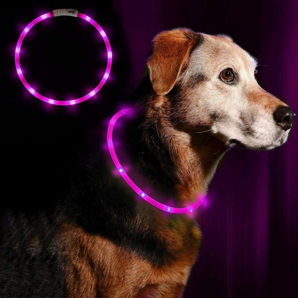 Anicoll LED Leuchthalsband Hunde Halsband USB wiederaufladbar -