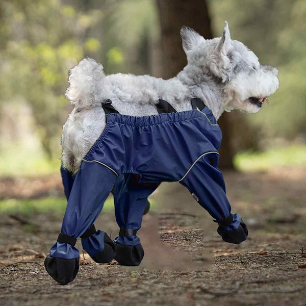 Hundskor, halkfria hundskor, tasskydd för husdjur, smutsavvisande hundar, utomhusskor för promenader och löpning M