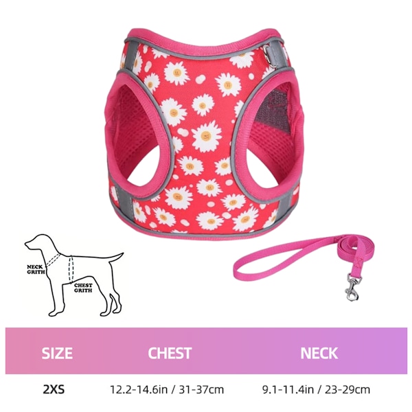Hundsele med justerbar mjuk mesh-vaddering och reflekterande husdjursvästrem och hästhudset XXS