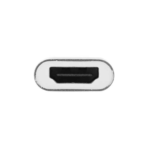 USB 3.1 Typ C Adapter Typ C till HDMI TV Videokonverterare för PC Laptop Dator Mobiltelefon Silvergrå