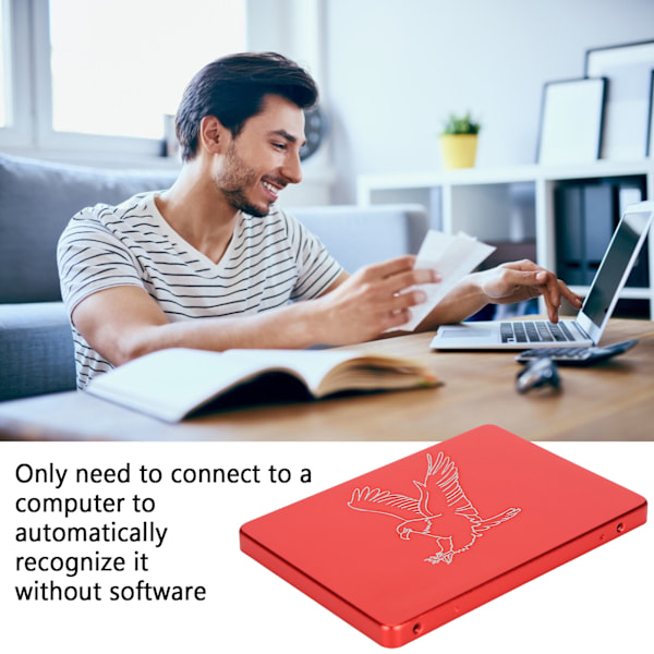 Hsthe Sea Mobile Solid State Disk Portabel 2.5 Tum Metall Örn Röd Extern SSD för PC Dator 8GB
