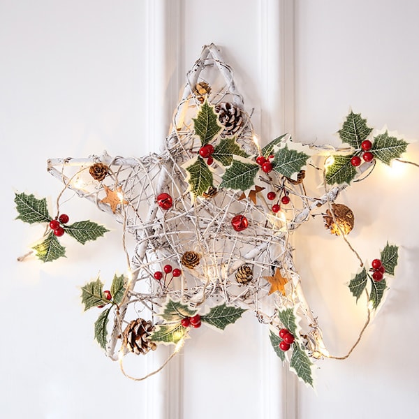 LED Battery Powered String Lights , Winter Holiday, New Year