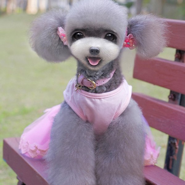 1 st hundar och katter husdjur Teddy Pomeranian bi Björn kläder kjol