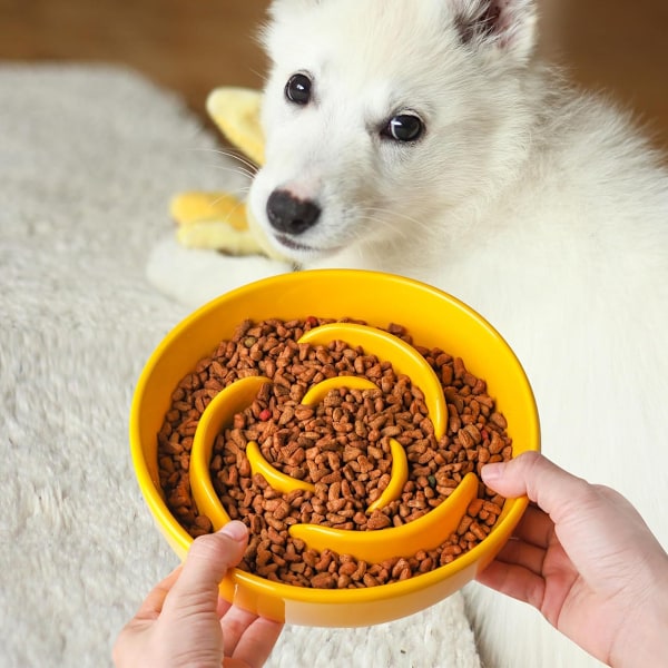Keramisk Slow Food Hundskål för Små Hundar, Slow Food Kattskål, Slow Food Hundskål, Pusselskål för Små Hundar och Katter, Labyrintskål, Kvävningsförebyggande yellow